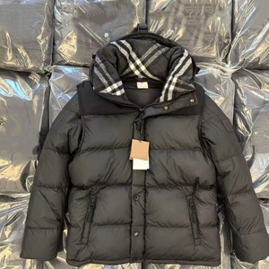 Veste d'hiver à capuche en duvet 100% pour homme, style décontracté de luxe BUR 2026, imperméable au vent, avec fermeture éclair - Product Image 1