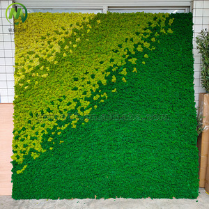 Artificial <strong>Moss</strong> Wall Panel Decorative <strong>Moss</strong> Backdrop Lifelike Preserved <strong>Moss</strong> High Simulation Green Plant Wall for Indoor Decor - Product Image 1