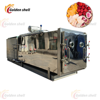 Hete Verkoop Hoogrenderende Industriële Fruitdroogmachine Vacuümvriesdroger Aardbei Vriesdroger