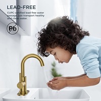 Robinet de lavabo de cuisine et salle de bain moderne au design minimaliste, avec cartouche céramique électroplaquée, monocommande, à poser sur le comptoir, eau chaude/froide