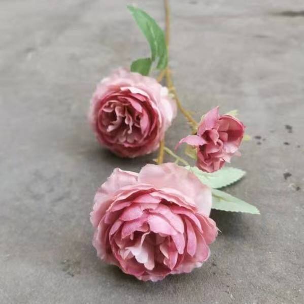3 pâte de haricot pivoine étrangère