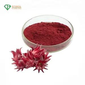 Bubuk ekstrak Roselle kering ekstrak daun Roselle ekstrak Hibiscus