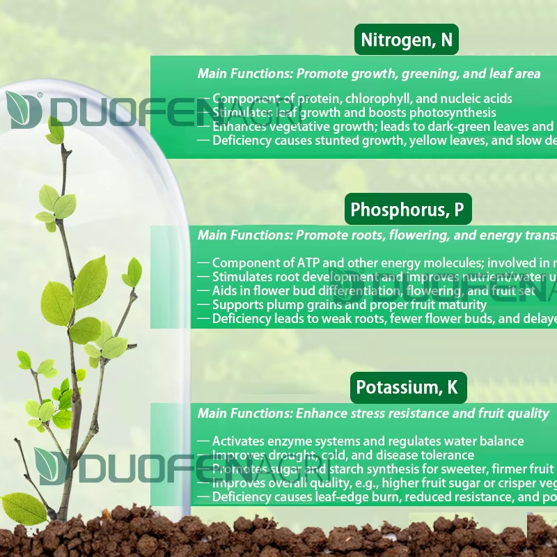 30-10-10 NPK Quick Release Powder Fertilizer Wholesale