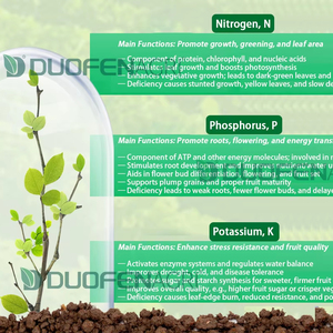Fertilizante en Polvo de Liberación Rápida DF NPK 30-10-10 para el Crecimiento de Cultivos Verdes, Alto en Nitrógeno, 100% Soluble en Agua y Rico en Oligoelementos - Product Image 1
