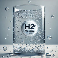 Hydrogène moléculaire H2 Alimentation en 60 comprimés Énergie cellulaire pour la santé du cerveau Le magnésium élémentaire soutient le vieillissement en bonne santé 30 minéraux
