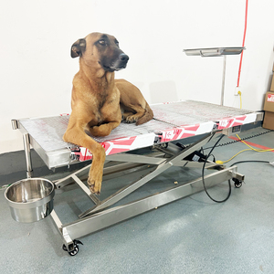 Mesa de Cirugía <span class=keywords><strong>Veterinaria</strong></span>, Muebles Veterinarios, Fregadero con Encimera, Mesa de Operaciones Veterinarias, Veterinarias Tous - Product Image 2