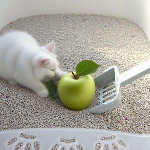 ครอกแมวเบนโทไนท์ฝุ่นต่ำและแรงจับตัวเป็นก้อนสะอาดง่ายและเป็นมิตรกับสิ่งแวดล้อม - Product Image 4