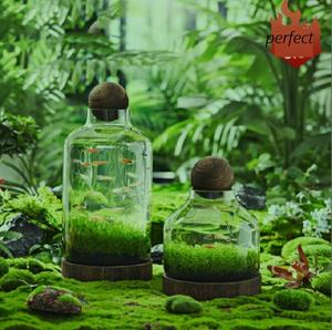 hausgemachte desktop-dekoration glas terrarium für glas und holz pflanzen terrarium mit holzsockel & kugel - Product Image 3