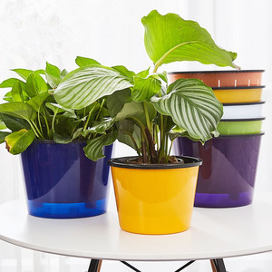 Maceta de Resina con Borde de Encaje, Diseño Minimalista, Absorción Automática de Agua, para Escritorio, Varios Colores Disponibles - Product Image 1