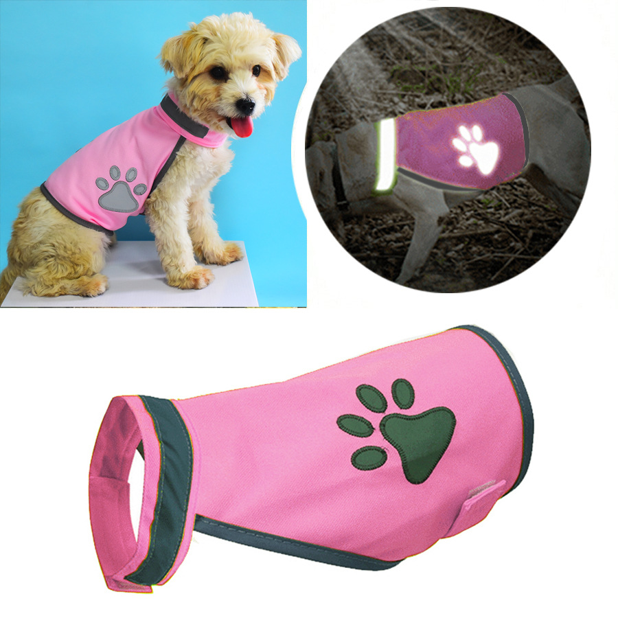Fluorescent powder (dog paw style)
