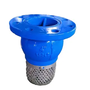 cast iron foot valve with stainless steel screen