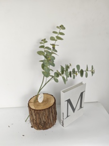 Eucaliptos Cinerea rama Planta artificial diseño innovador fibra de carbono fibra de vidrio flor macetas pared colgante hogar jardín - Product Image 3