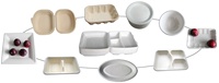 Máquina de bandeja de comida de moldeo de pulpa recíproca Guangzhou Nanya