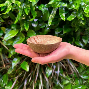 Bols ovales jetables en coquille de noix de coco |   Pour les glaces et les desserts |   Taille personnalisée, conception, emballage et vente en gros - Product Image 1