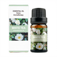 Humidificador Especial con Aceite Esencial de 10 ml, Aromaterapia, Difusor de Plantas Soluble en Agua, Ambientador con Aroma a Lavanda, Vapor 100% Puro