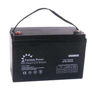 Batterie solaire gel VRLA scellée 12V 100Ah pour voiturettes de golf et bateaux - <span class=keywords><strong>NP100</strong></span>-<span class=keywords><strong>12</strong></span> par Fortune Power - Product Image 2