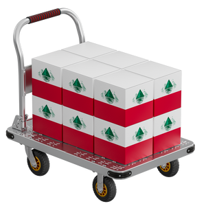 Troli Dorong Baja MBC-054 dengan Roda Putar 360 Derajat, Kapasitas Beban 500kg, Grosir Langsung dari Pabrik - Product Image 6