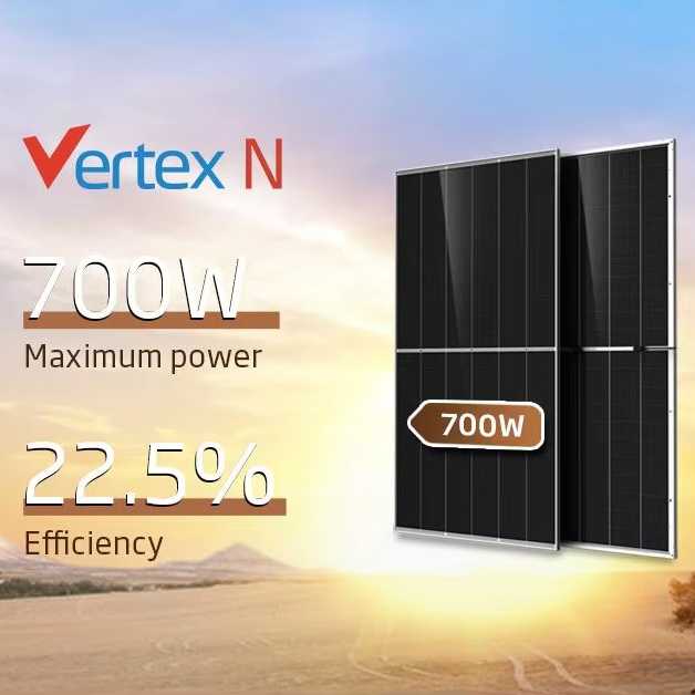 Trina 700W Solar Panels 710W 695W 720W PV Module Bifacial Double Glass TOPCon N-type 715W 725W Solar Panel for Power Station