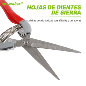 Ánh nắng mặt trời tijeras de PODA bỏ qua chuyên nghiệp 8 '(20cm) acero inoxidable perfecta Para manzanos bonsais Y uvas - Product Image 2