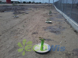 Irrigation <span class=keywords><strong>Arrosage</strong></span> Croissance Plantation Légumes Système d'<span class=keywords><strong>arrosage</strong></span> <span class=keywords><strong>automatique</strong></span> Plante Racine Irrigation Boîte d'<span class=keywords><strong>arrosage</strong></span> Conteneur - Product Image 6