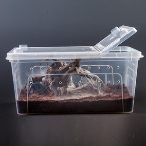 Einfache, transparente, stapelbare und belüftete Reptilien-Transportbox aus Kunststoff in verschiedenen Größen für die Brut und die Zucht von Reptilien. - Product Image 2