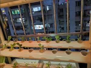 Carpa de Cultivo Hidropónico Profesional de <span class=keywords><strong>2x2</strong></span>, 2x4, 4x4, 4x8, 5x10, 6x6, 8x8, Carpa de Cultivo Interior - Product Image 2