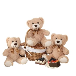 QIANGRUI Sucesso de Vendas Popular Urso de Pelúcia Personalizado Animais de Brinquedo Encomendas de Pelúcia Presentes de Natal para Crianças Brinquedo de Animal de Pelúcia da Floresta - Product Image 5