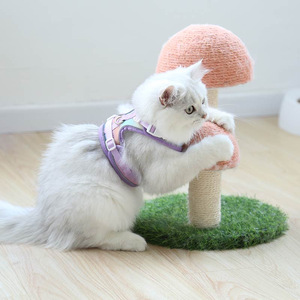 SinSky Manufacturer New Design Rainbow <strong>Cat</strong> Dog <strong>Harness</strong> Set Hard Wearing Terylene Walking Dog <strong>Cat</strong> <strong>Harness</strong> and Leash - Product Image 6