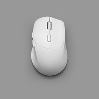 Penjualan Langsung Pabrik Cina Desain Khusus Putih Penuh 6D BT 2.4G USB Mouse Optik Nirkabel Tanpa Suara DPI Dapat Disesuaikan Ergonomis