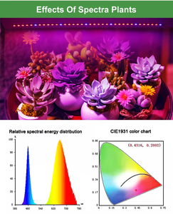 全光谱IP65水培发光二极管带红色 + 蓝色 + 白色发光二极管，用于植物生长和开花高CRI 90 10W - Product Image 5