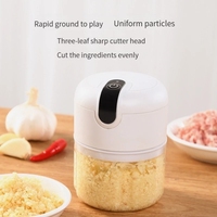 Mini hachoir électrique à ail de 250 ml, recharge USB, machine à écraser le gingembre, robuste et durable, broyeur de légumes et de piments, outil de cuisine