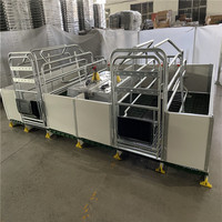 Cage de mise bas galvanisée de haute qualité pour élevage de porcs, enclos pour truies