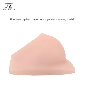 Medical Science Puncture model of breast tumor for teaching Ultrasound-guided breast tumor puncture training model