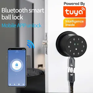 LAIU W1 tuya smart lock door round handle lock fingerprint keyless password home door Lock