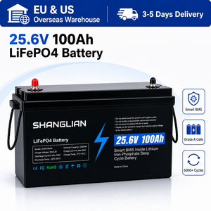 <b>24V</b> 100Ah LiFePO4 <b>Battery</b> Pack 2560Wh Deep Cycle Rechargeable with 100A BMS for Solar Energy System - Product Image 1