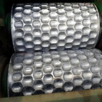 Nuevo modelo Sentai, motor de máquina de peletización de eliminación de polvo para briquetas de limo de polvo/carbón, certificado CE, capacidad de 5-8 t/h