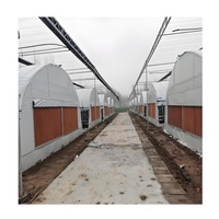 Commerciële Moderne Champignonkas Stabiele Single Pc Sheet Hydrocultuur Landbouwkas Kleine Grote Groenten Groeien