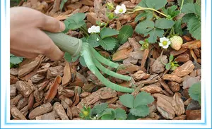 حفار يدوي ومشبك صغير من البلاستيك للخصب في الحديقة وزراعة نباتات متاح خيارات OEM مخصصة