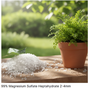 Engrais au <span class=keywords><strong>soufre</strong></span> soluble dans l'eau, sel d'Epsom, sulfate de magnésium heptahydraté CAS 10034-99-8 MgSO4 7H2O, granulé blanc, pureté 99,5% - Product Image 3