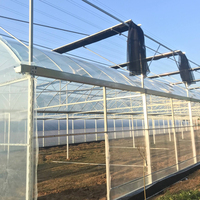 Serres vertes en plastique à plusieurs travées d'excellente résistance avec conteneur d'agriculture hydroponique