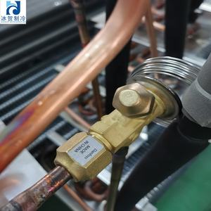 Congélateur <span class=keywords><strong>vertical</strong></span> commercial à température unique, portes en verre trempé double vitrage, capacité 1000L pour la présentation de la viande - Product Image 4