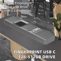 Clé USB Type C en métal 128 Go 256 Go 512 Go avec cryptage par empreinte digitale, OTG, disque mémoire SSD, USB 2.0, nouveaux accessoires pour téléphone
