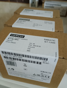 6ES7222 1BF32 0XB0 S7 1200 PLC ดิจิตอลเอาต์พุตโมดูล 8 ช่อง 24VDC 0.5A ทรานซิสเตอร์สลับอย่างรวดเร็ว - Product Image 4