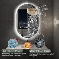 Miroir LED ovale avec éclairage frontal, anti-buée, commande tactile pour chambre à coucher, salon, hôtel, vente en gros
