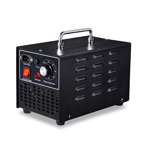 Purificateur d'air électronique portable, générateur d'ozone avec garantie d'un an, stérilisation et élimination des odeurs - Product Image 3