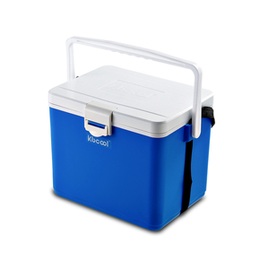 Nevera Portátil de Plástico de 15L con Capacidad para 24 Latas, para Bebidas, Cerveza, <span class=keywords><strong>Insulina</strong></span>, Mantiene de 2-8 Grados ℃   Nevera Portátil para Viajes - Product Image 1