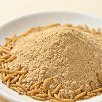Poudre de vers de farine dégraissés en vrac, protéine d'insectes pour l'alimentation des poulets, nourriture pour poissons d'aquarium, nourriture pour oiseaux, friandises pour animaux de compagnie, compléments alimentaires