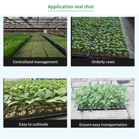 Plateaux de germination pour semis à 50 cellules en PS pour serres et pépinières de légumes
