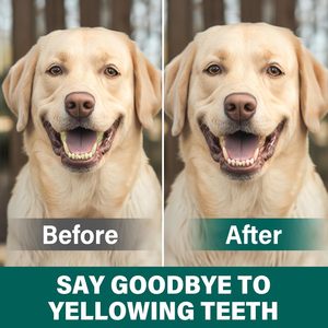 Wanzibei 공장 맞춤형 개인 로고 애완 동물 건강 관리 및 보충 개 치과 치료 깨끗한 치아 및 신선한 호흡을위한 치과 용 파우더 - Product Image 5