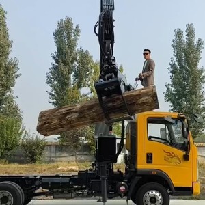 BaoWo BW78.3 Grúa Articulada Plegable con Capacidad de 700 kg, Equipo de Manipulación de Madera Montado en Camión Ligero - Product Image 2